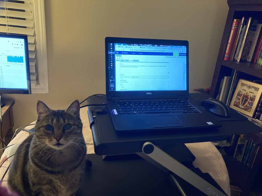 A computer screen with Ethel the cat providing some constructive criticism.